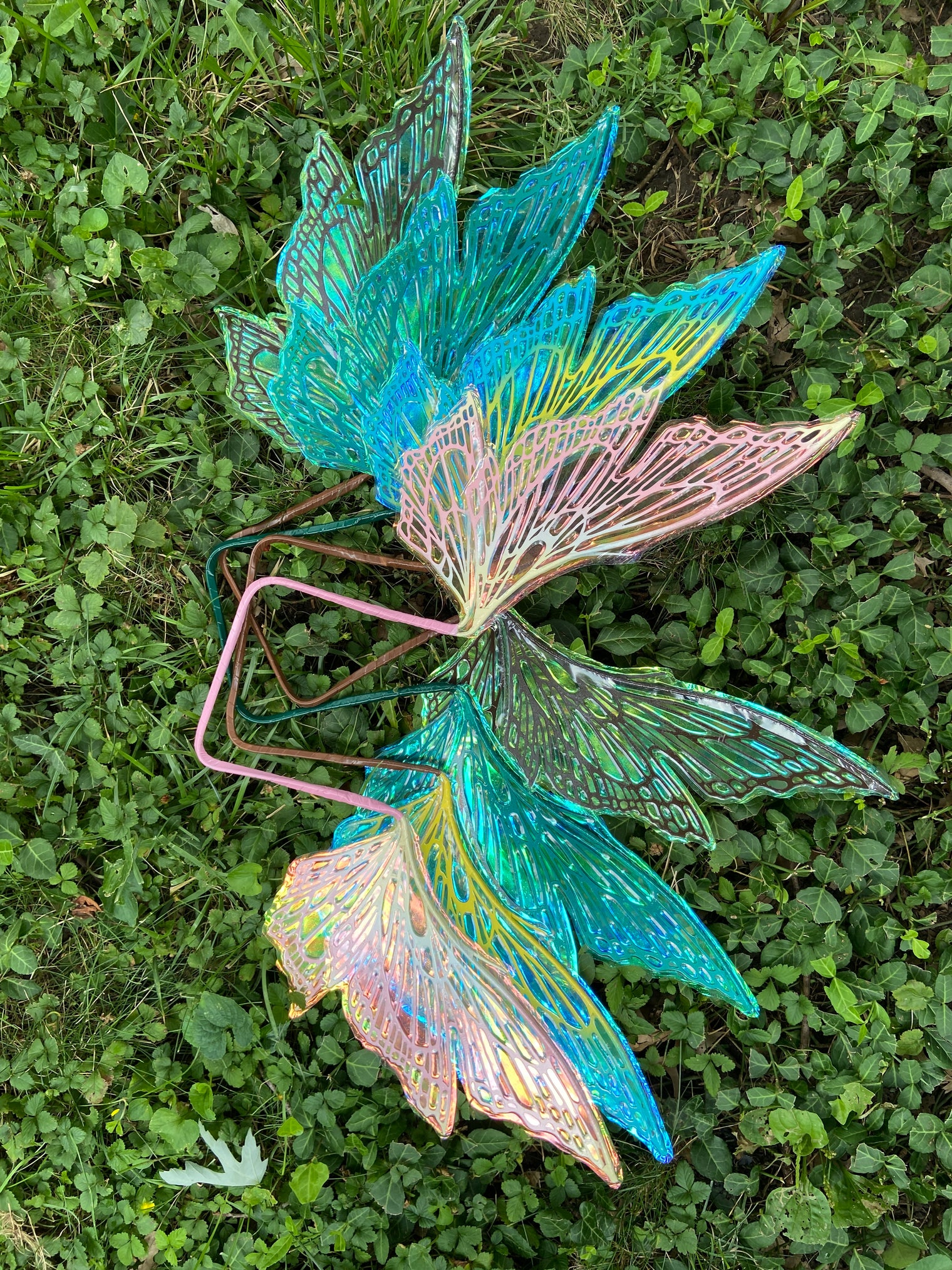 Mini Dark Brown Titania Wings Iridescent Fairy Wings