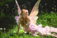 Giant Pink and Gold Stella Iridescent Fairy Wings
