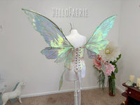 NEW Luna Moth Giant Sweet Pea Iridescent Fairy Wings