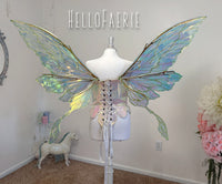 NEW Luna Moth Giant Sweet Pea Iridescent Fairy Wings