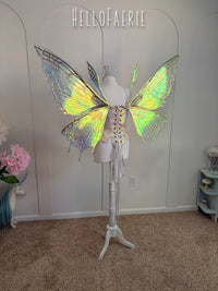 One of a kind XL moth wings Iridescent Fairy Wings