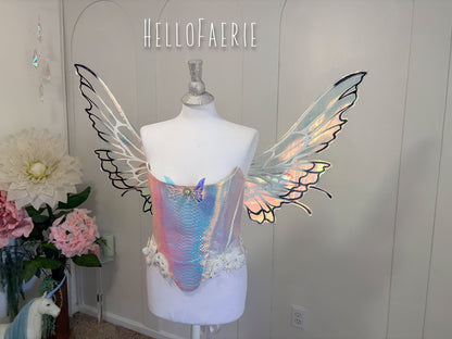 Black and White Large size Butterfly iridescent fairy wings