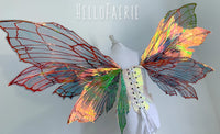 MONSTER Black Double set Peri Iridescent Fairy Wings
