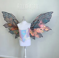 MONSTER Black Double set Peri Iridescent Fairy Wings